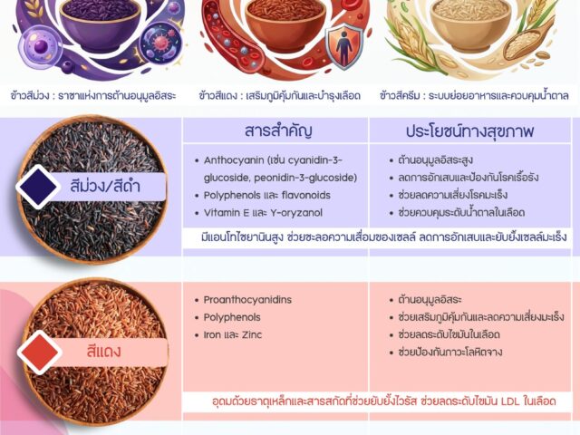 654685222_1620272363434251_1665630015786275166_n (1)